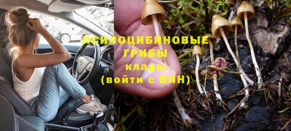 СК Верхний Тагил