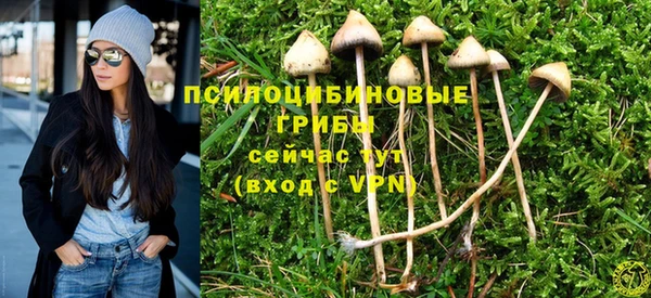 СК Верхний Тагил