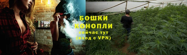 стаф Сосновый Бор