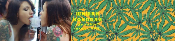 метадон Горнозаводск
